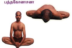 bathakpnasana-copy