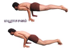 mayurasanam