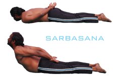sarbasana-scaled