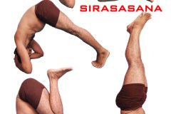 siradsasana-scaled