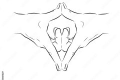 1000_F_365861629_1148ki0yjUUkCBDJZ8tvhiC85IDW9vx0